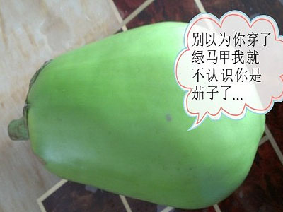 别以为换的马甲，就不认识你