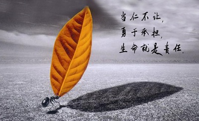 责任