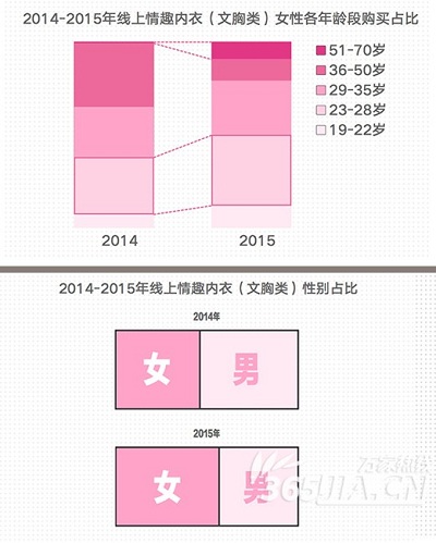 报告分析